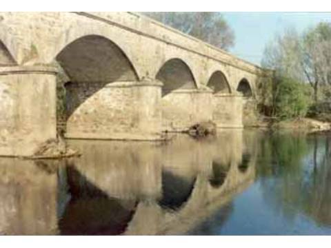 Puente sobre el río Tera.