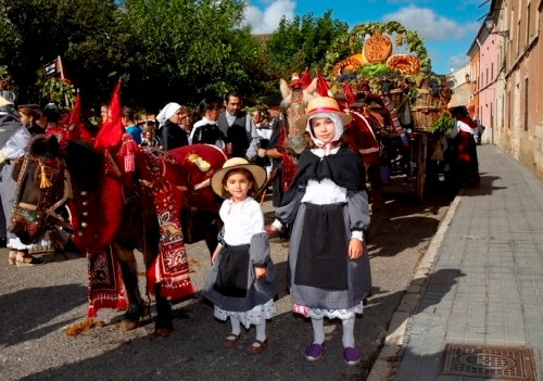 Carros Toro en la Fiesta de la Vendimia