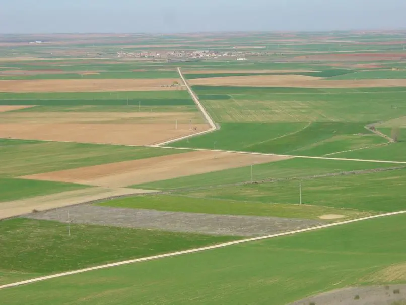 /images/Provincia/2013/Campos/tierradecampos.jpeg
