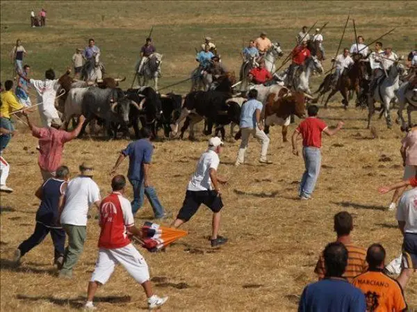 /images/Provincia/2013/Guarena/fuentesauco-espantes.jpg