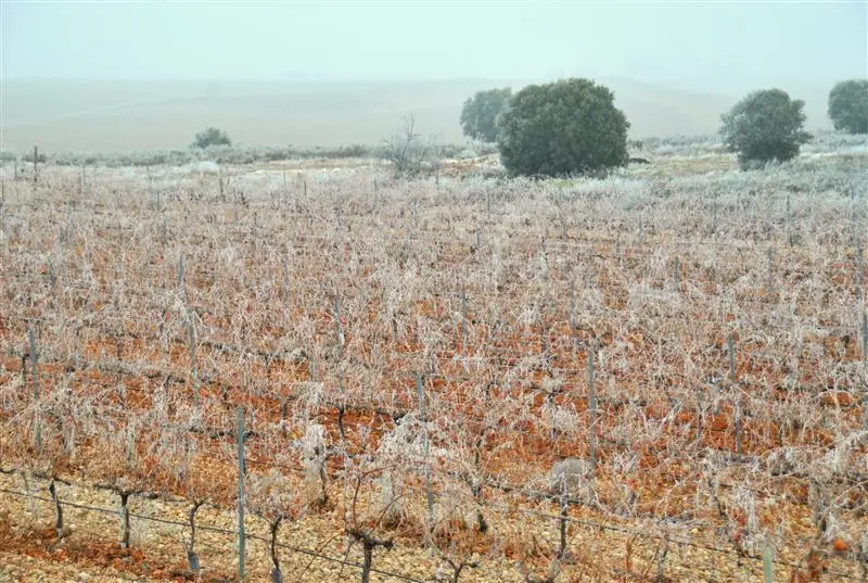 Campo helado