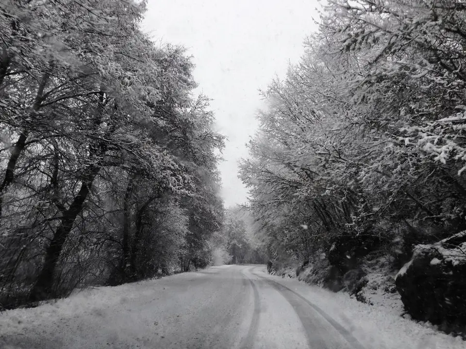 /images/Provincia/2014/sanabria/nievequatrofotografia/sanabrianevada2.jpeg