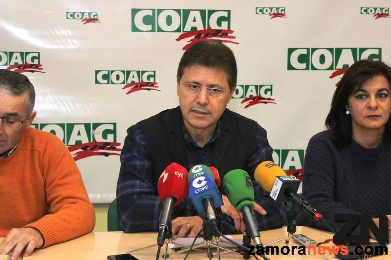 /images/coag_zamoranews_55_tn_tn.jpg