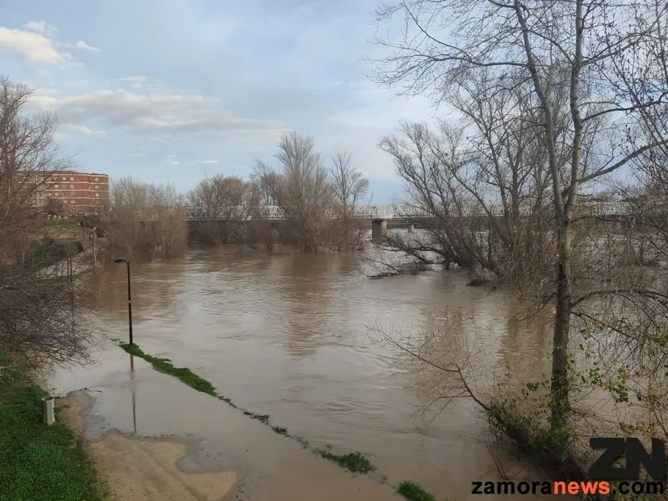 /images/Consecuencias_temporal_ro_Duero_Zamora_News 5.jpg