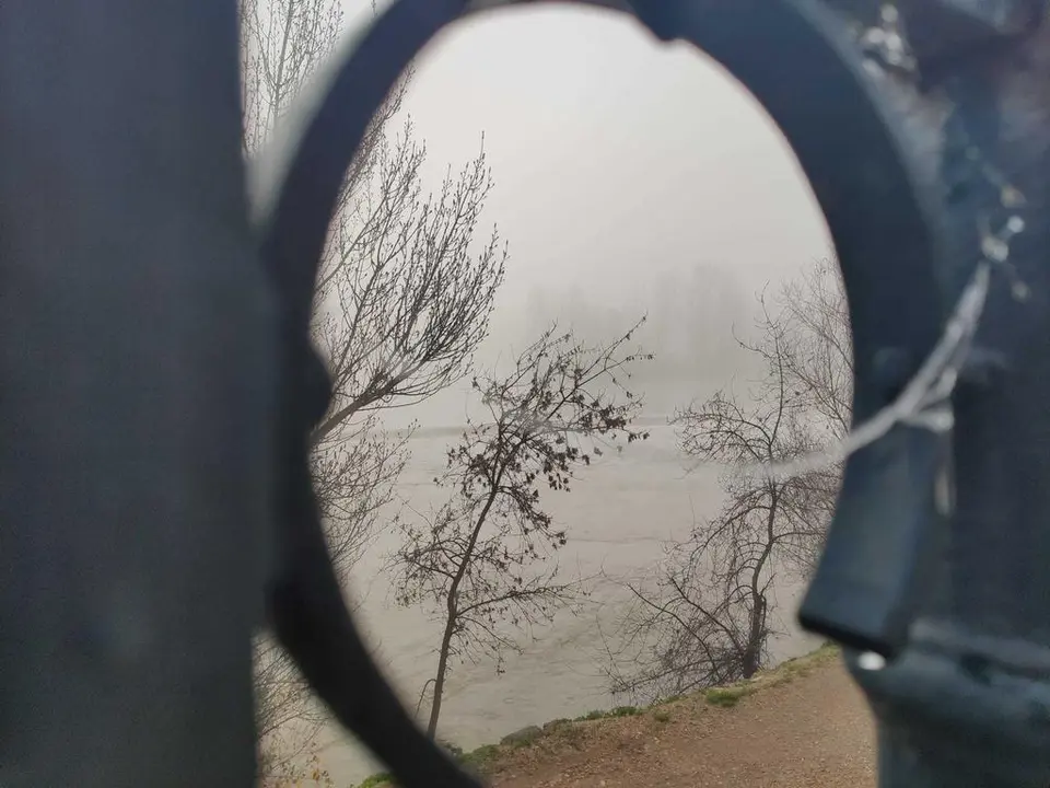 Día de niebla en Zamora