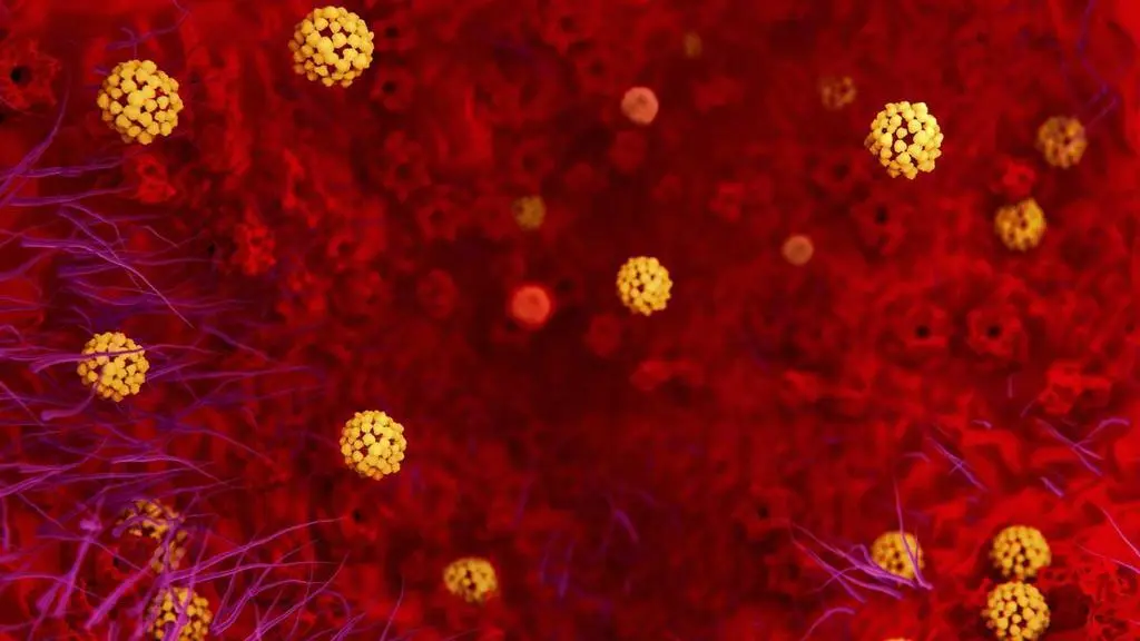 /images/Coronavirus_rtve.jpg