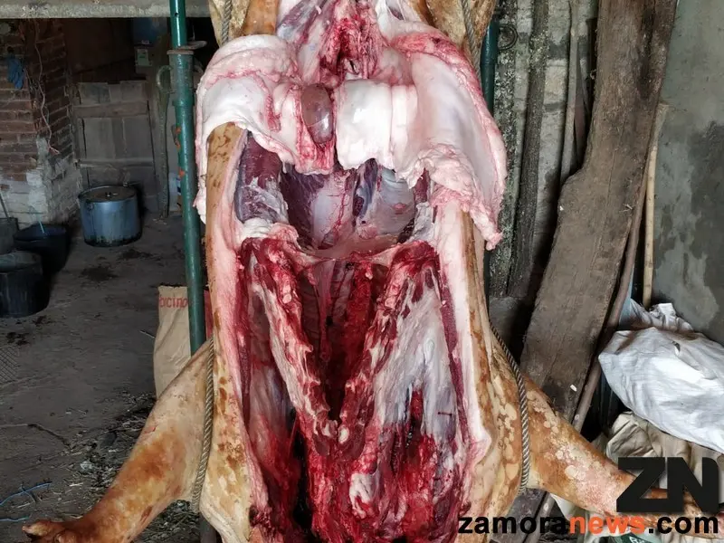 /images/matanza_2.jpg