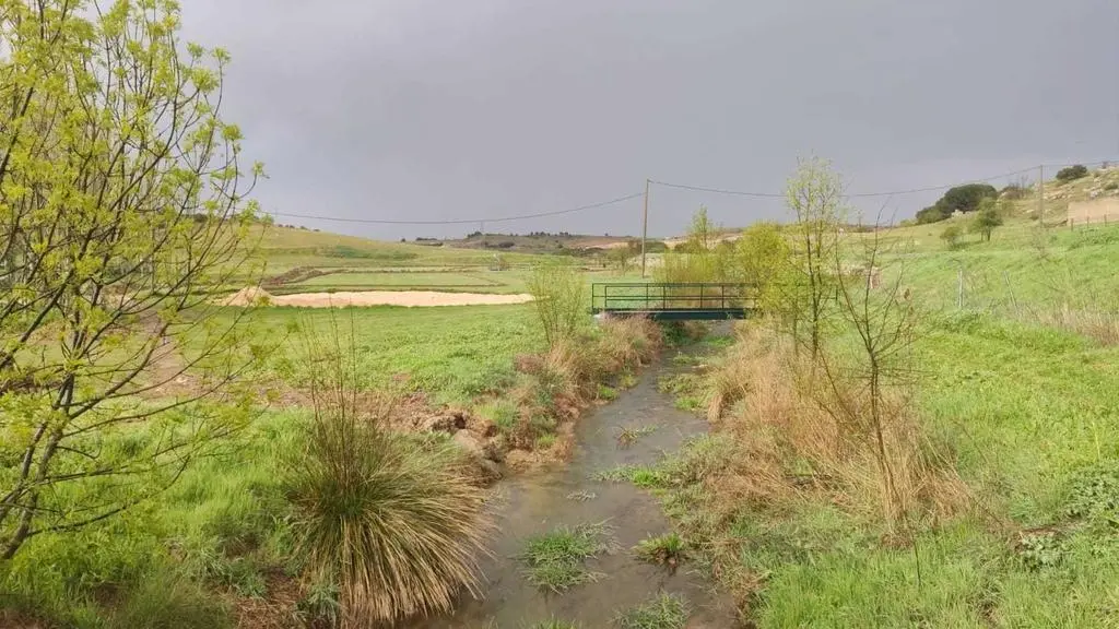 campo