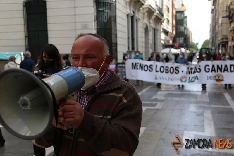 lobo manifestación zamora (4)