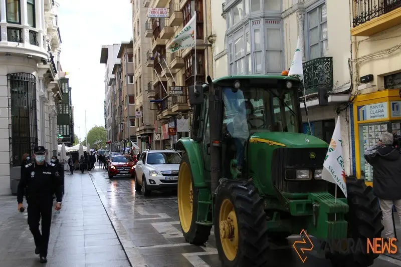 Manifestaci&oacute;n contra el lobo en Zamora