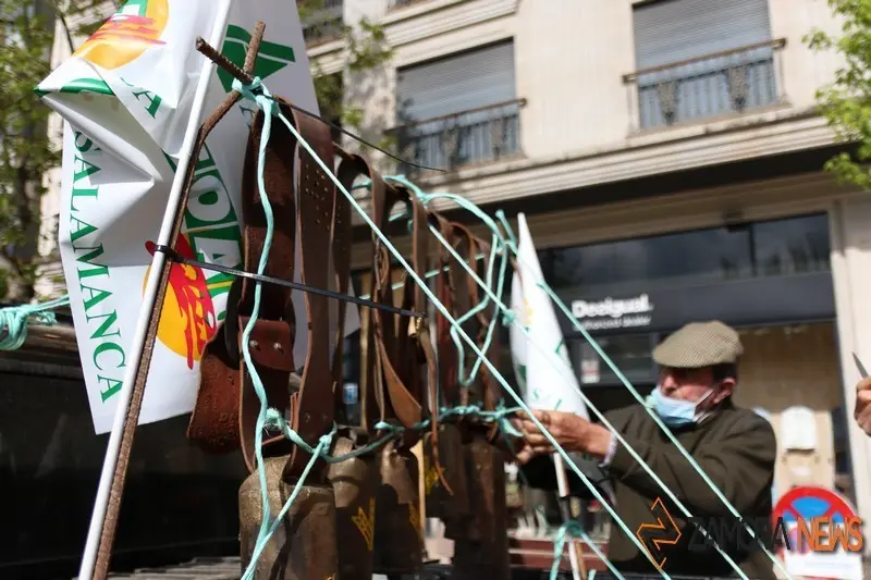 lobo manifestaci&oacute;n zamora (9)