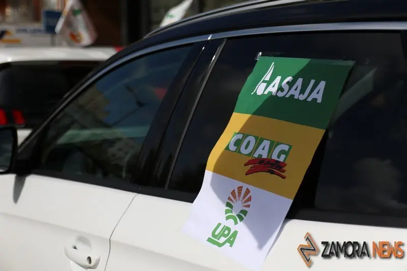 lobo manifestaci&oacute;n zamora (11)