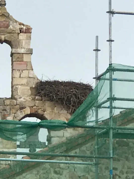 Andamios en la Iglesia de Nuestra Señora de la Asunción de Entrala