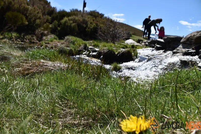 sanabria primavera (2)