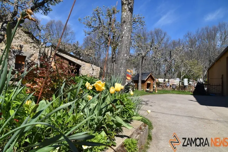 sanabria primavera (11)