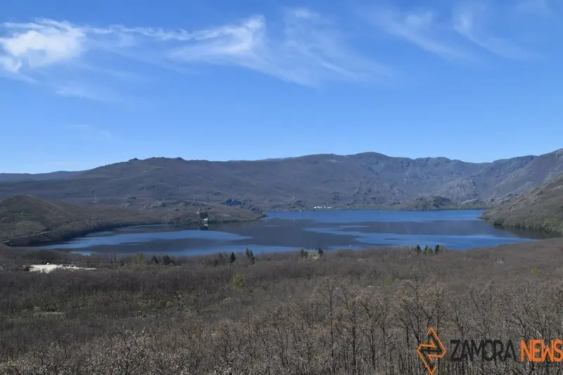 sanabria primavera (17)