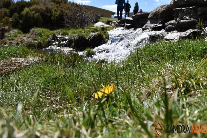 sanabria primavera (20)