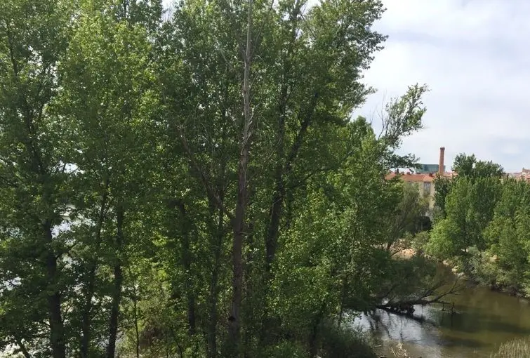 Vista de Zamora