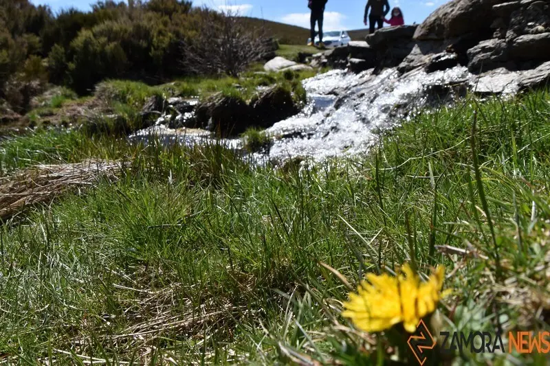 sanabria lago primavera (4)