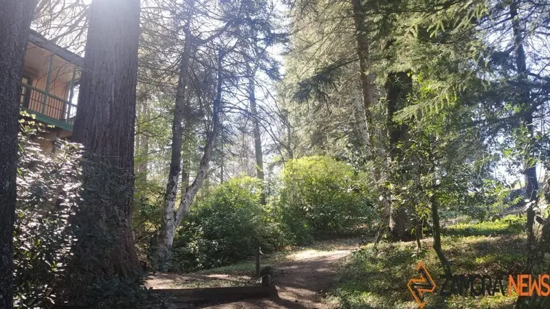 sanabria lago primavera (9)