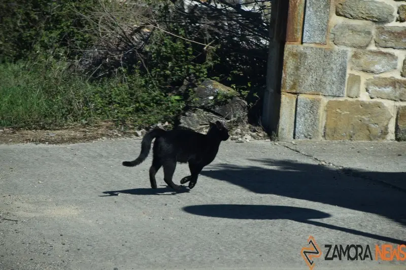 sanabria lago primavera (13)