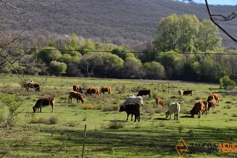 sanabria lago primavera (15)