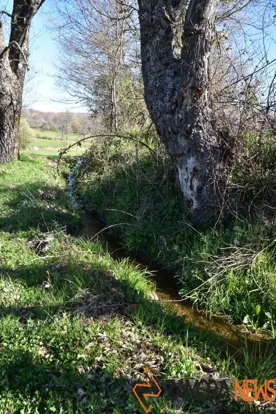 sanabria lago primavera (16)