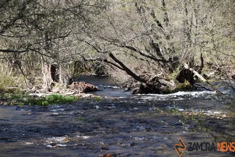 sanabria lago primavera (17)