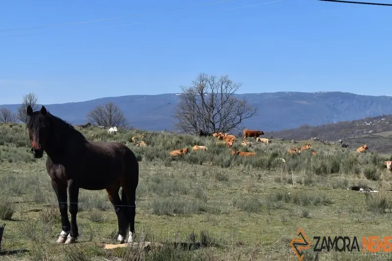 sanabria lago primavera (18)