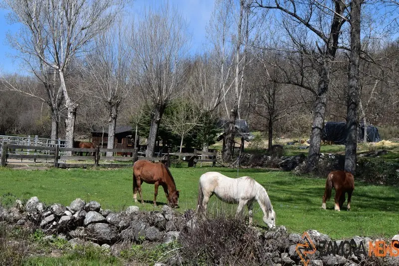 sanabria lago primavera (23)