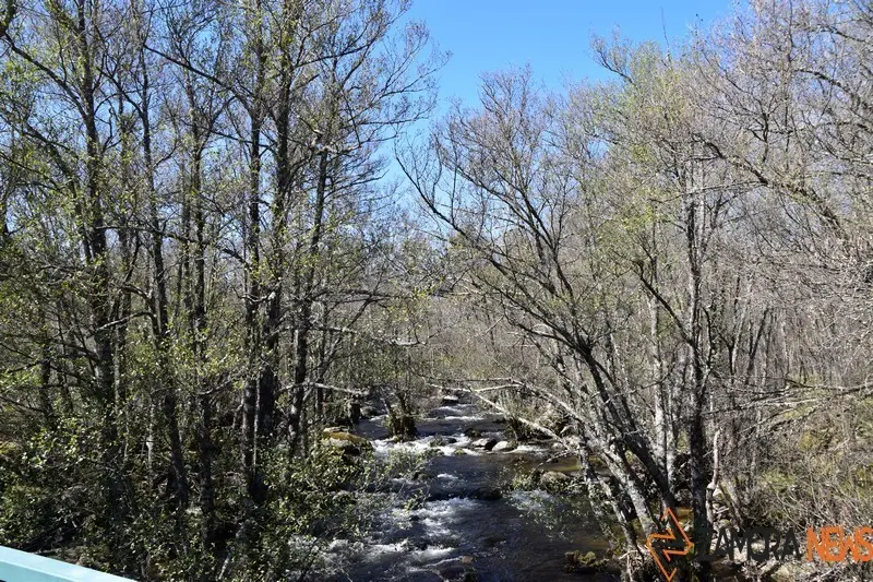 sanabria lago primavera (24)