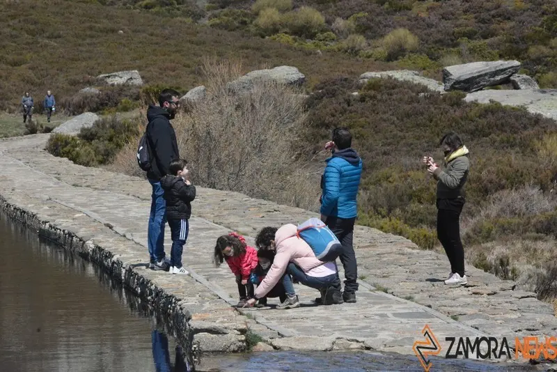 sanabria lago primavera (60)