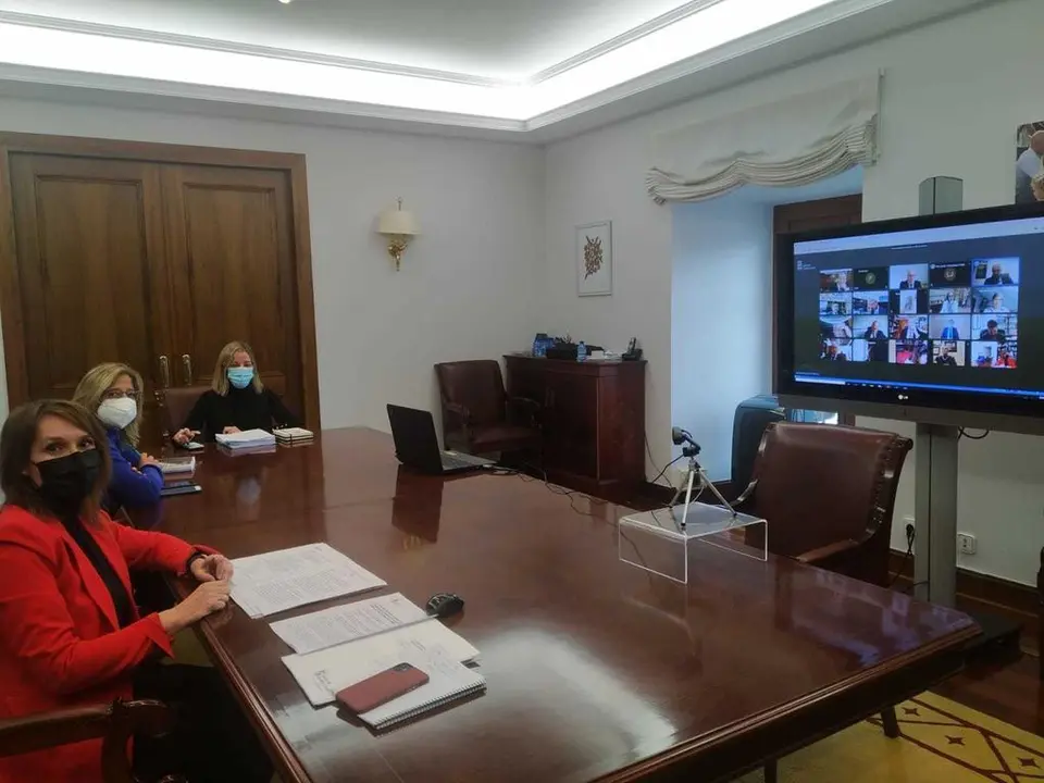 Pleno+Consejo+Universidades+CyL.3