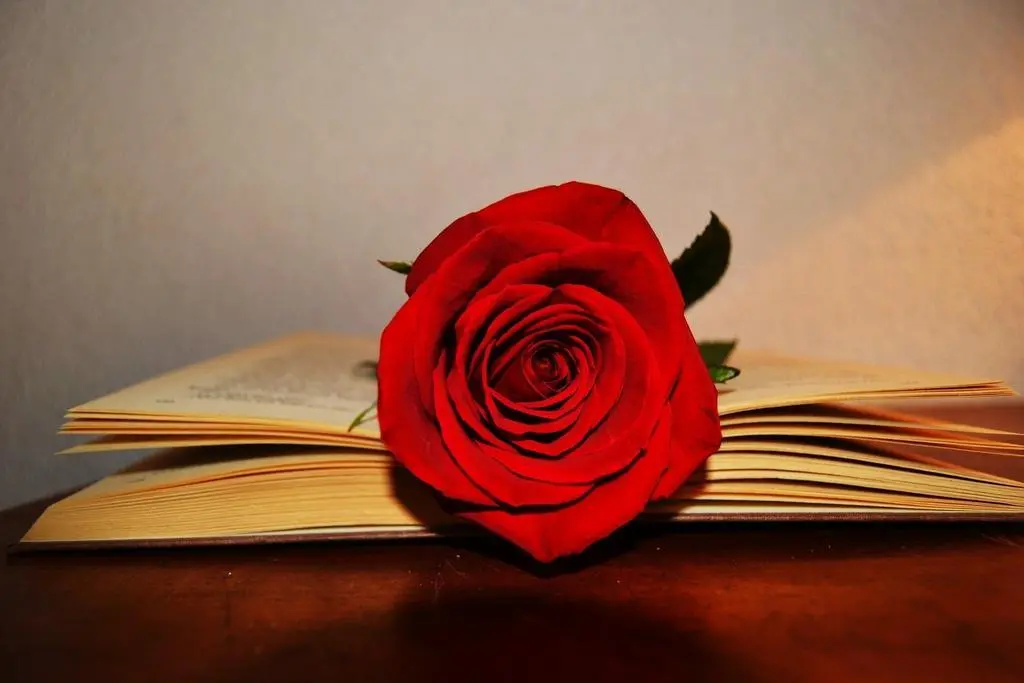 san jordi