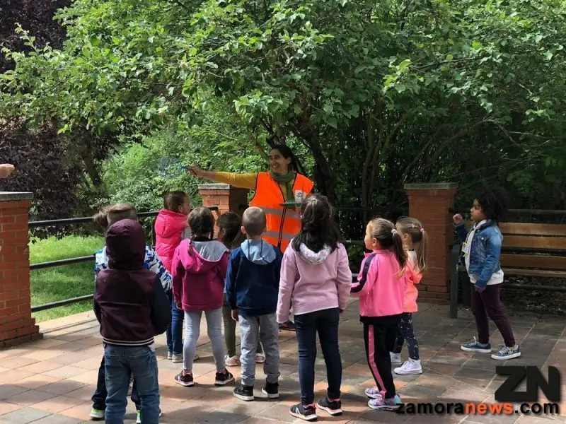 medio ambiente ayto niños