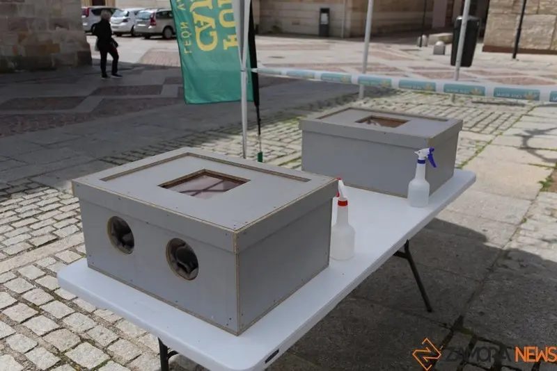 WhatsApp Image 2021-04-23 at 12.50.35