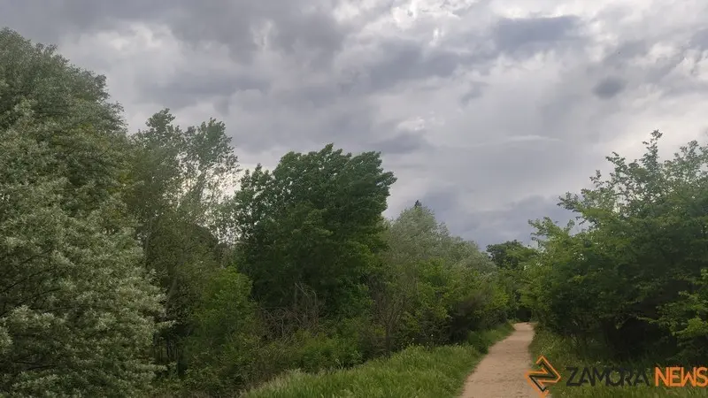 bosque de valorio zamora (2)
