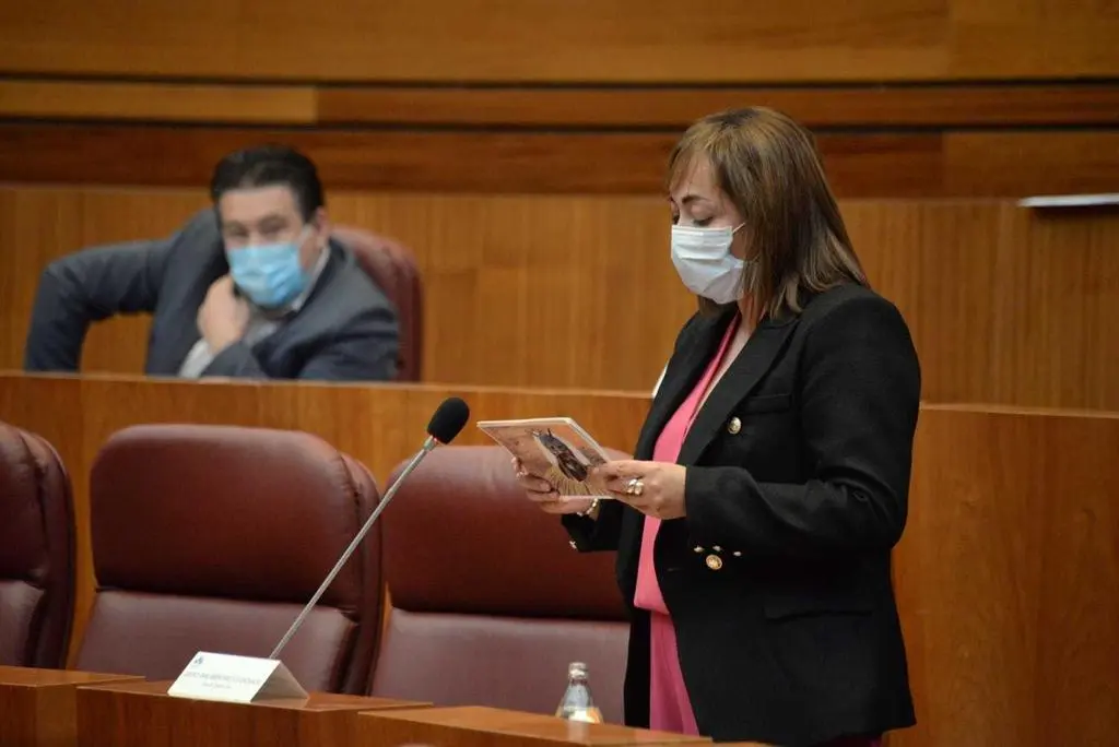María Teresa Gago en las Cortes