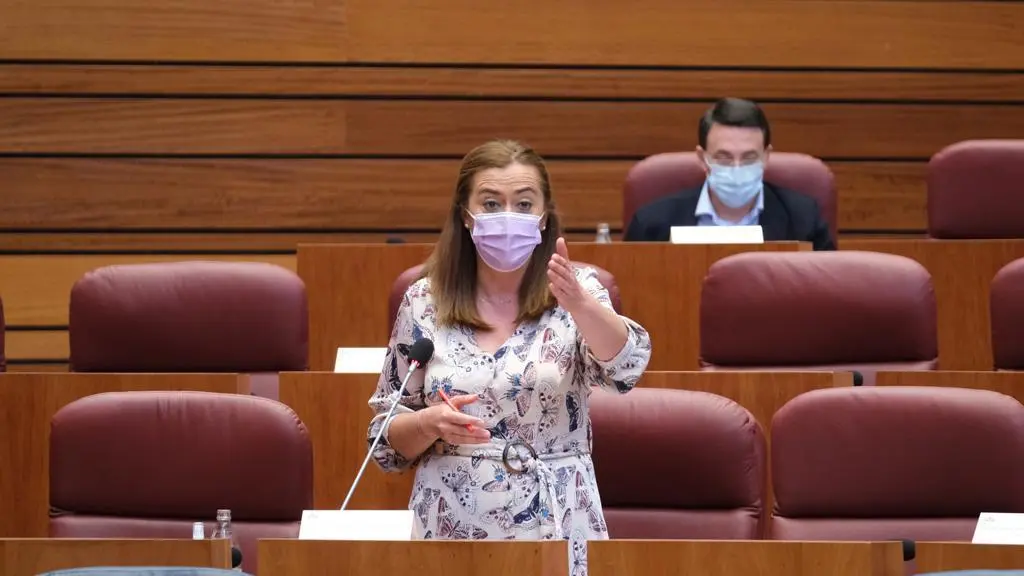 Virginia Barcones en su turno de palabra.