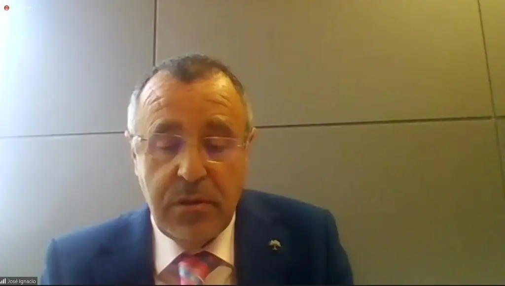Jose Ignacio Martín Benito, en su comparecencia por Zoom.