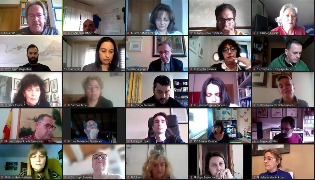 Momento de la celebración del Pleno por videoconferencia