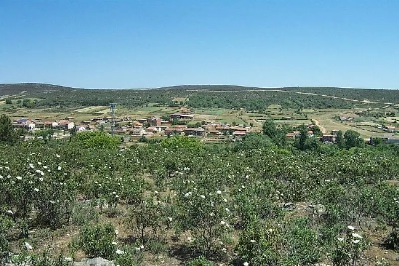 Ferreruela de Tábara