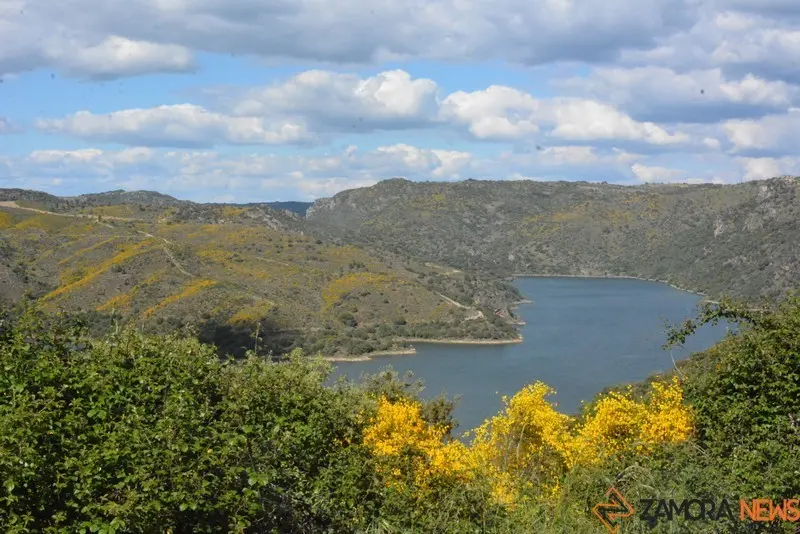 portugal sayago primavera (43)