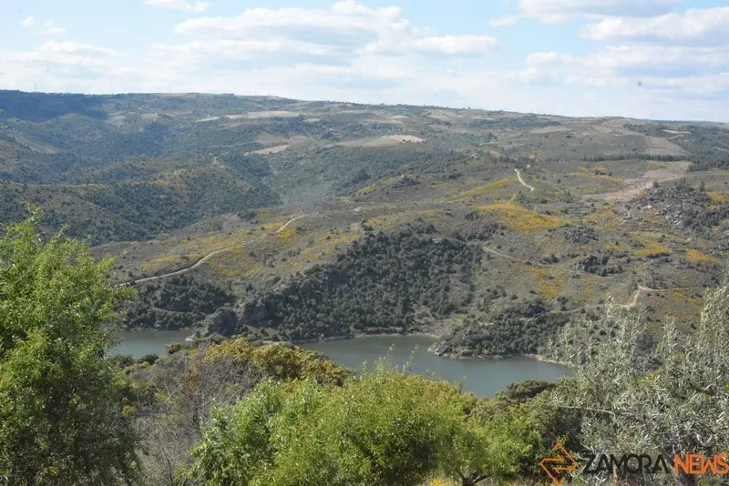 portugal sayago primavera (37)