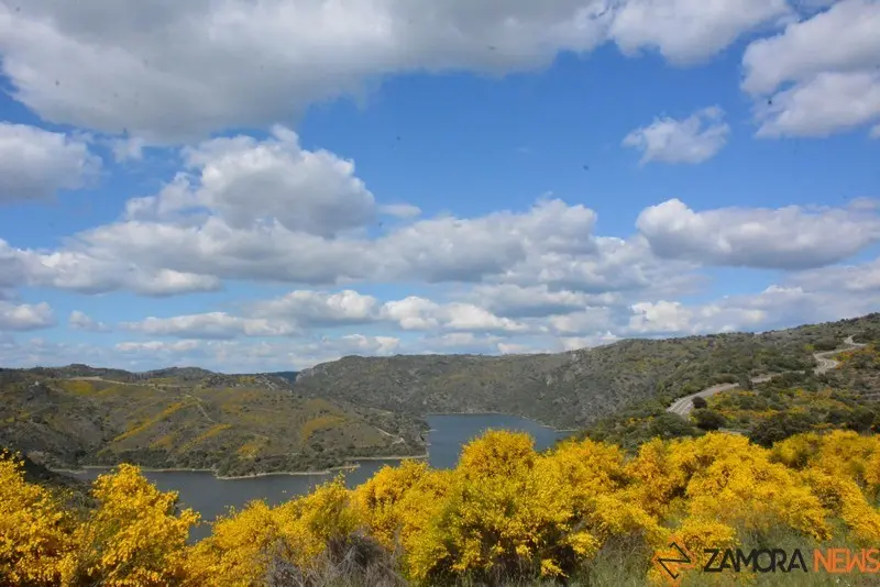 portugal sayago primavera (41)