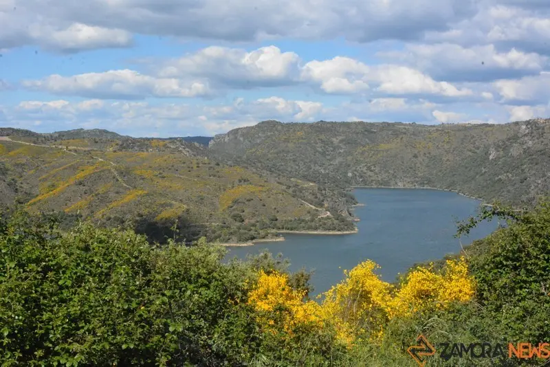 portugal sayago primavera (44)