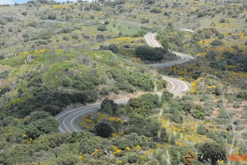 portugal sayago primavera (49)