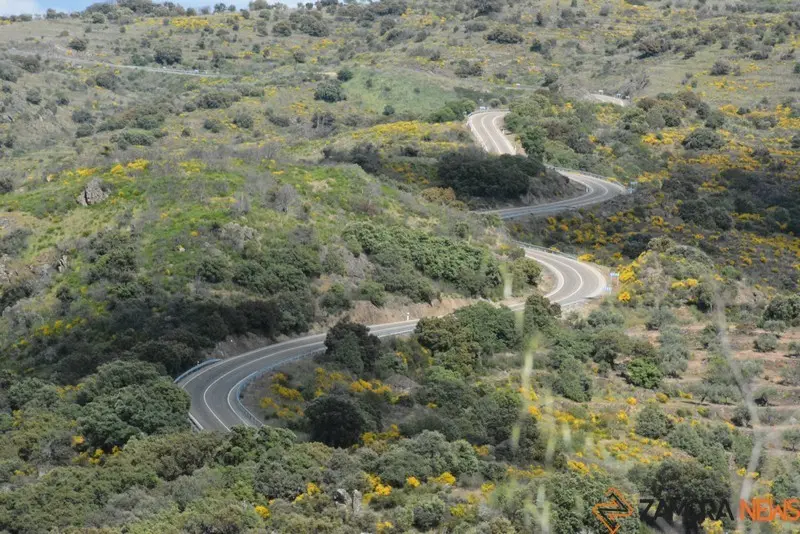portugal sayago primavera (50)