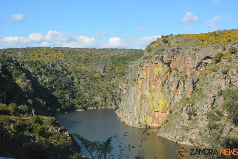 portugal sayago primavera (74)