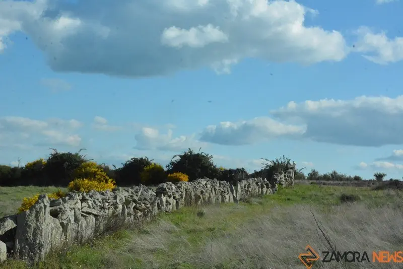 portugal sayago primavera (83)